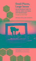 Small Places Large Issues An Introduction to Social and Cultural Anthropology