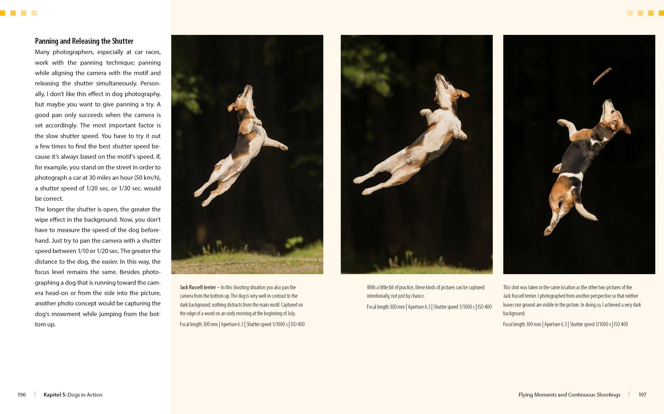 Dog Photography - Shooting with Bow Wow Effect
