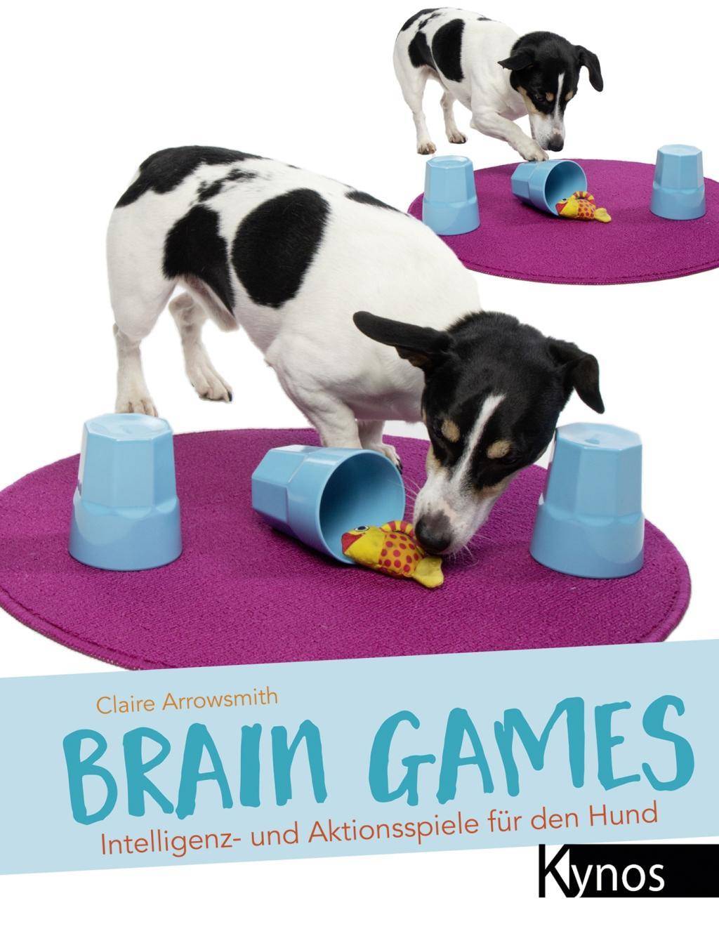 Brain Games Intelligenz- und Aktionsspiele für den Hund