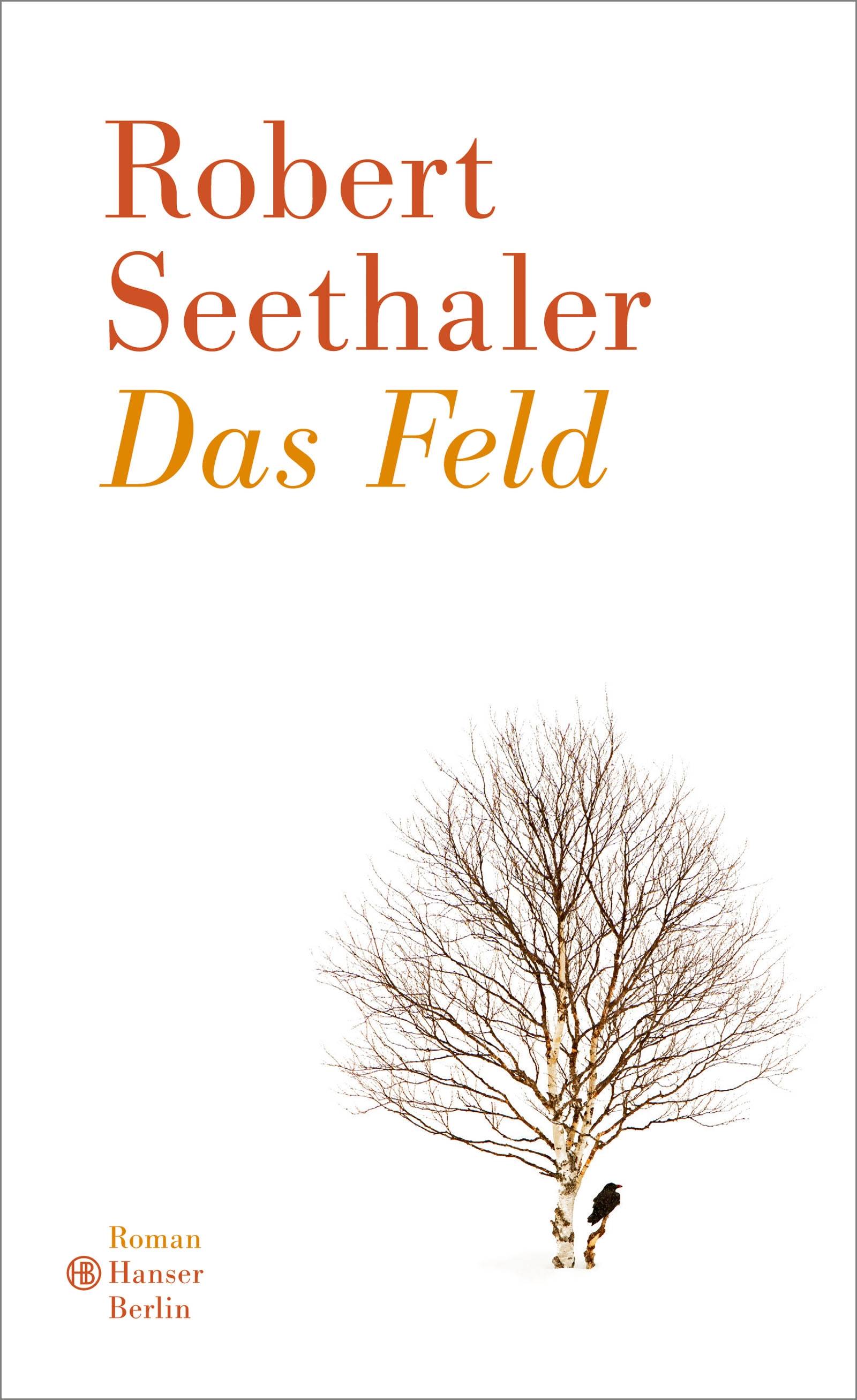 Das Feld Roman