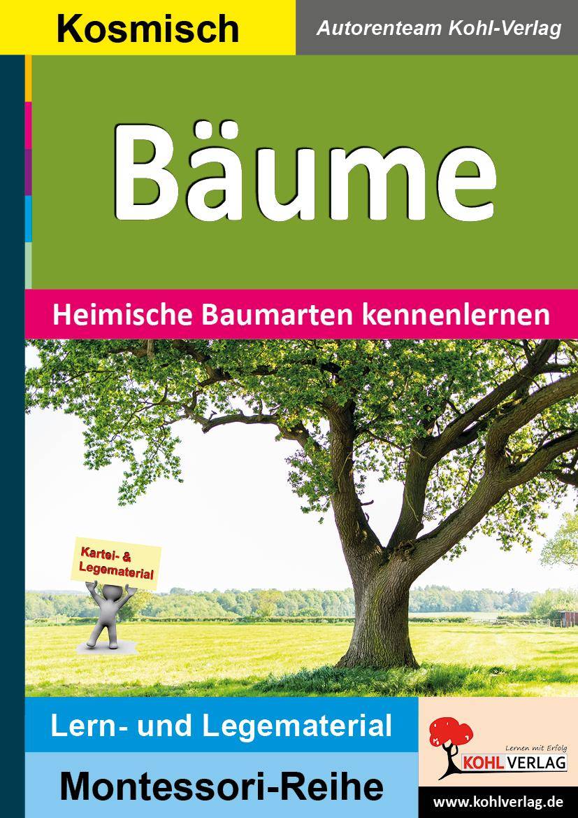 Bäume Heimische Baumarten kennenlernen