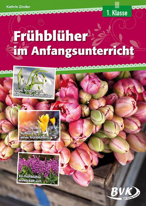 Frühblüher im Anfangsunterricht 1. Klasse