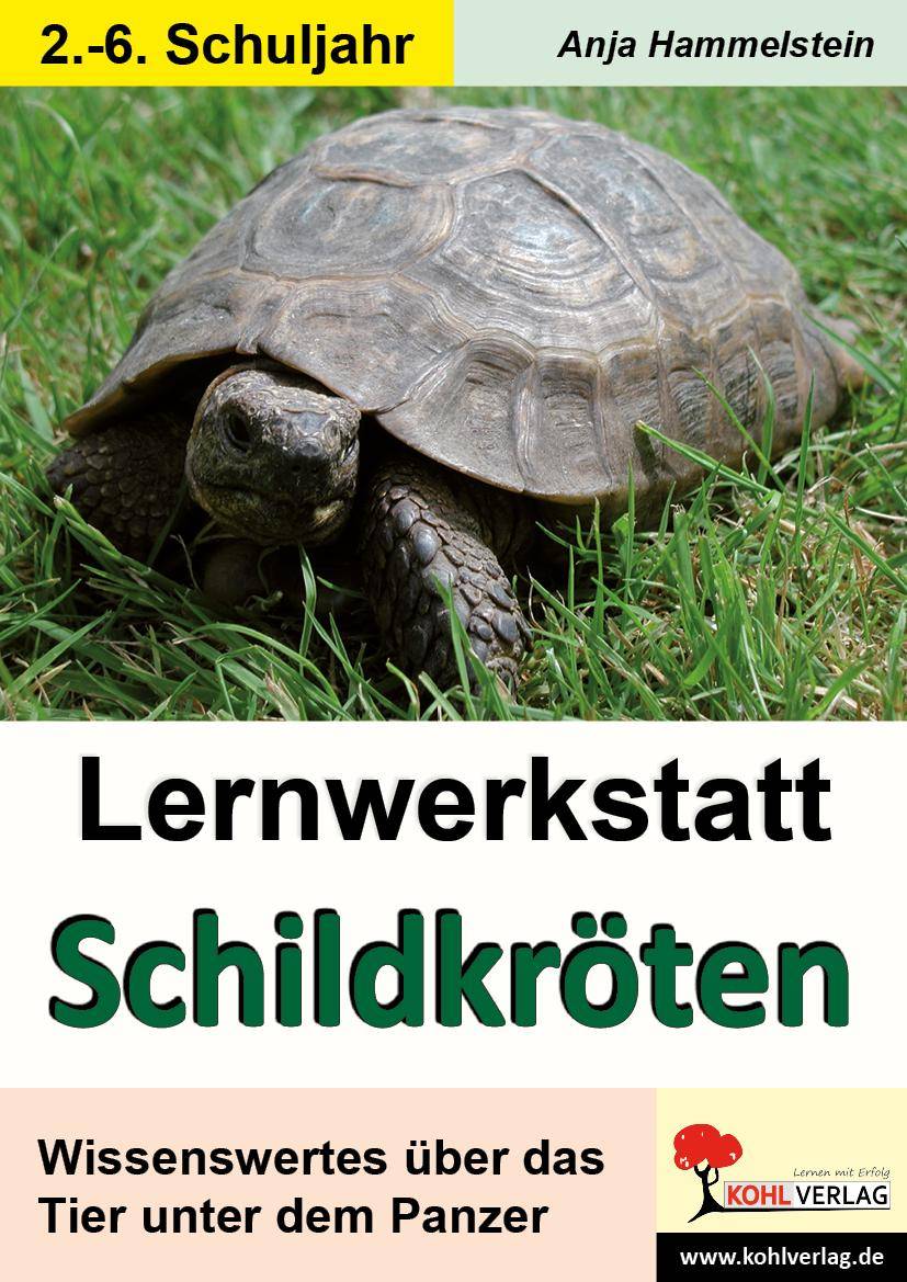 Lernwerkstatt Schildkröten Kurztexte, Aufgaben, Übungen, Sinnerfassendes Lesen, Mit Lösungen. 3./4. Schuljahr. Kopiervorlagen