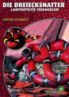 Die Dreiecksnatter Lampropeltis mexicana