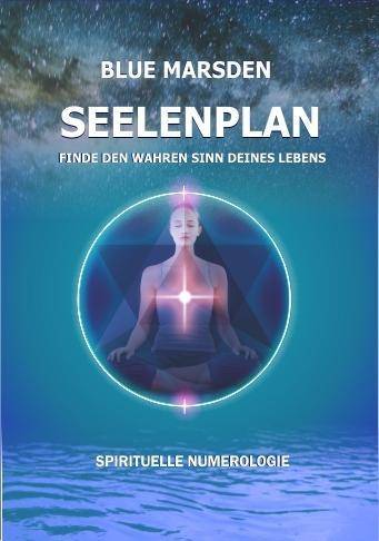 Seelenplan Finde den wahren Sinn deines Lebens