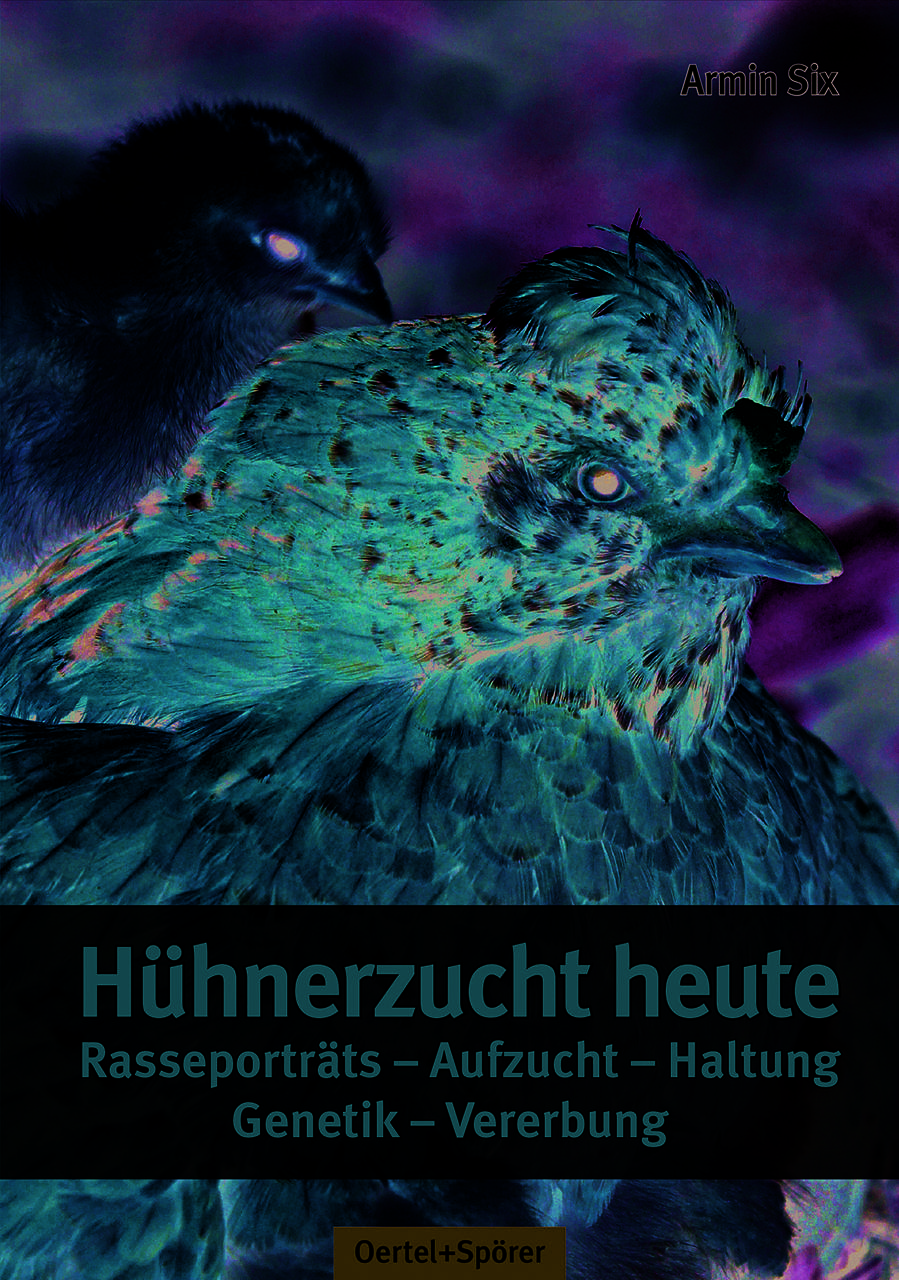 Hühnerzucht heute Rasseporträts - Aufzucht - Haltung - Genetik - Vererbung