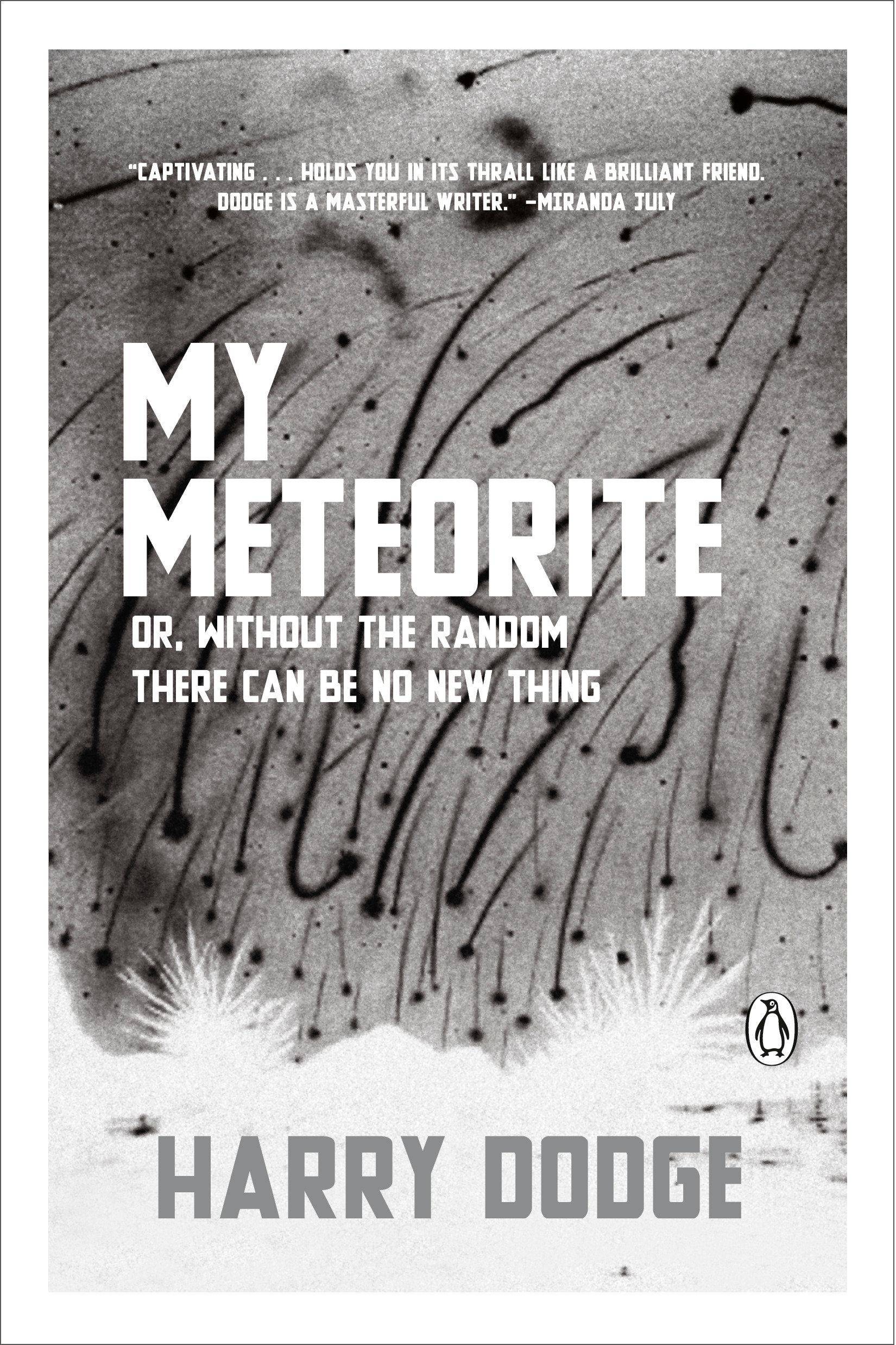 My Meteorite Or, Without the Random There Can Be No New Thing