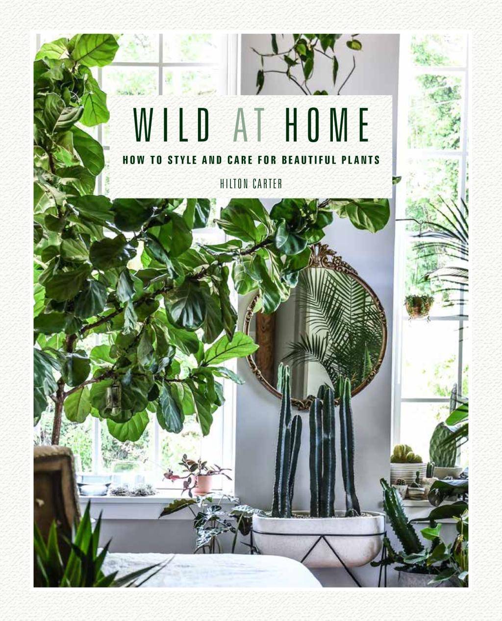 Wild at Home How to style and care for beautiful plants