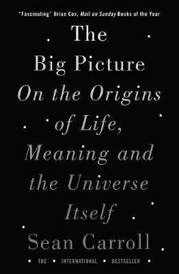 The Big Picture On the Origins of Life, Meaning, and the Universe Itself