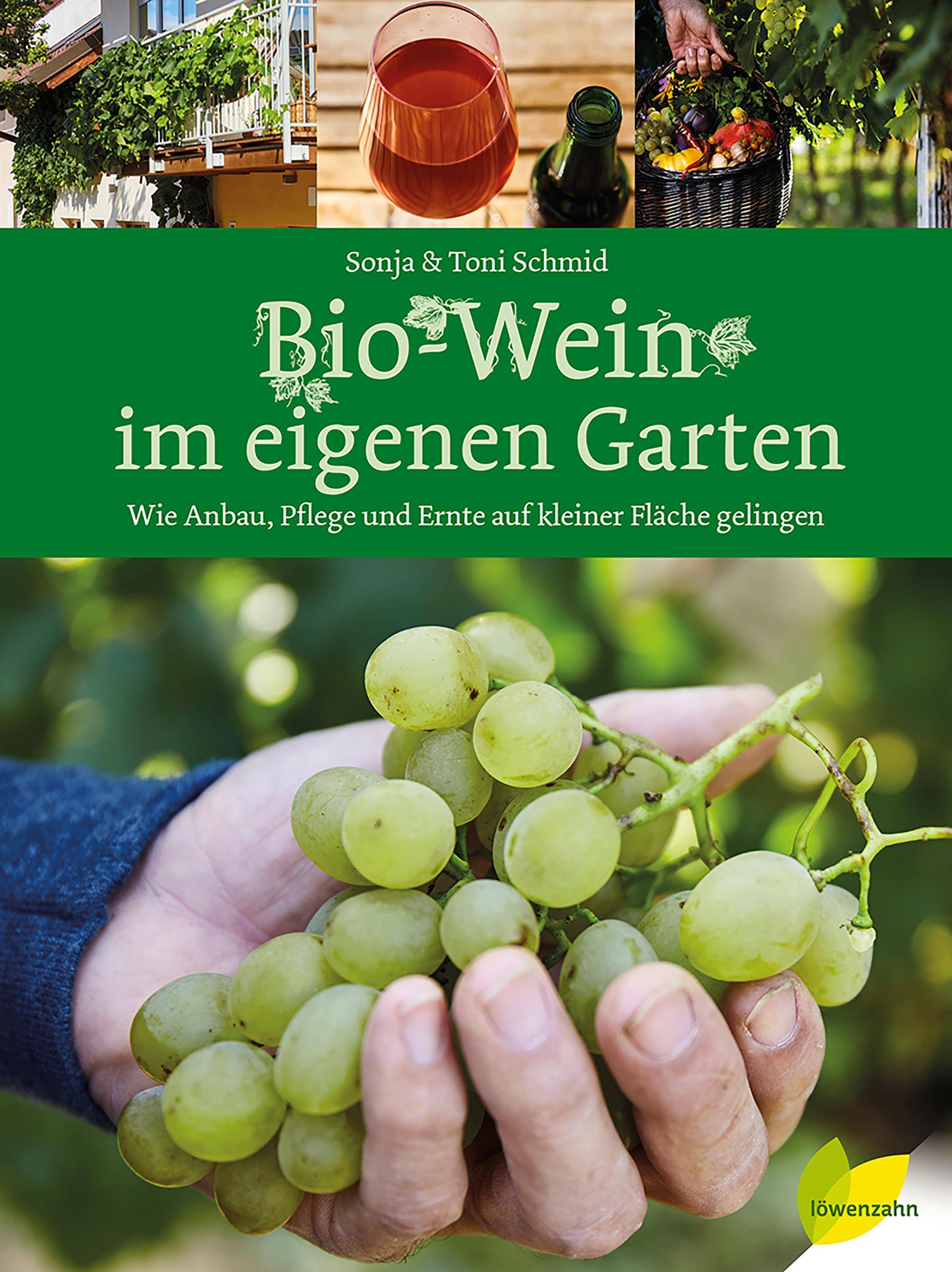 Bio-Wein im eigenen Garten Wie Anbau, Pflege und Ernte auf kleiner Fläche gelingen