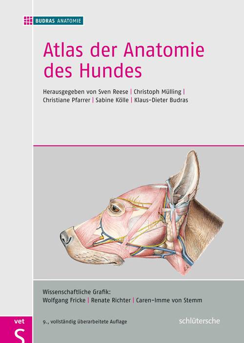 Atlas der Anatomie des Hundes Budras Anatomie
