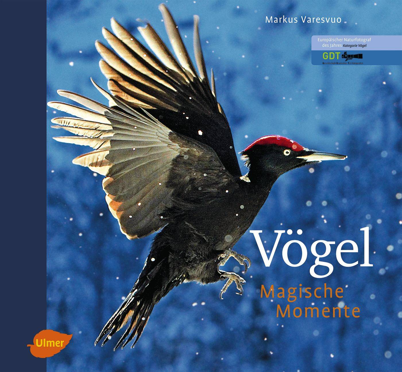 Vögel - Magische Momente Europäischer Naturfotograf des Jahres: Kategorie Vögel