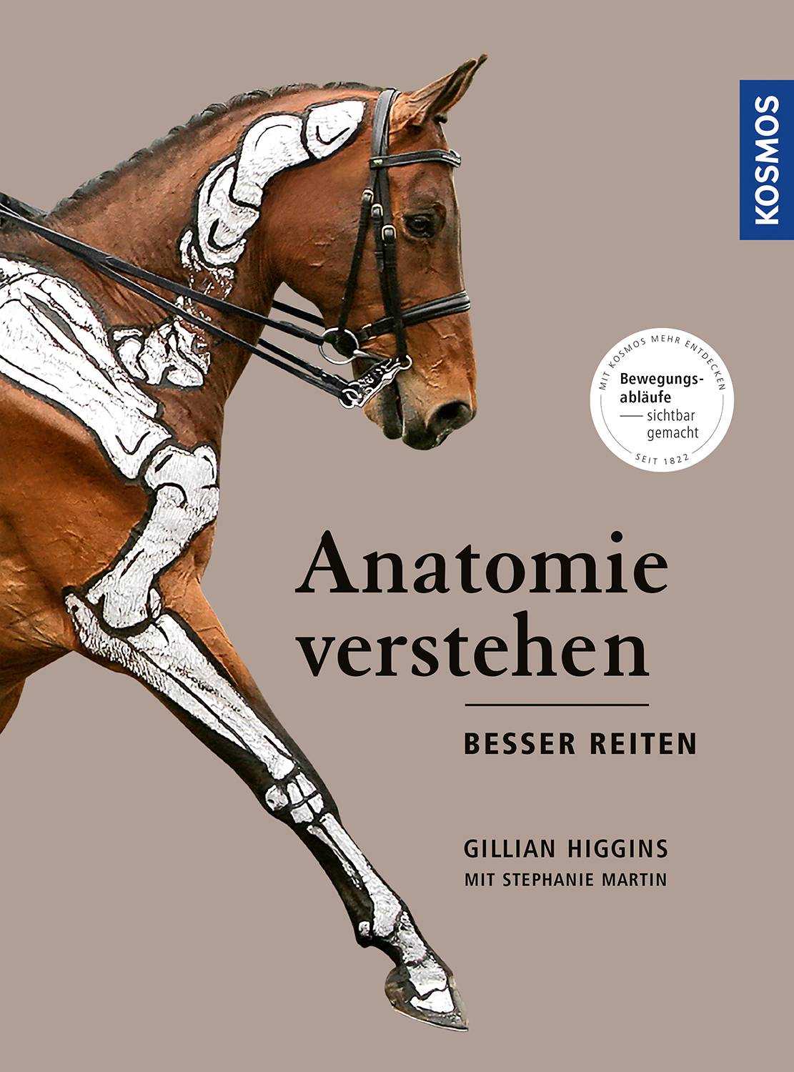 Anatomie verstehen - besser reiten Bewegungsabläufe und Biomechanik sichtbar gemacht