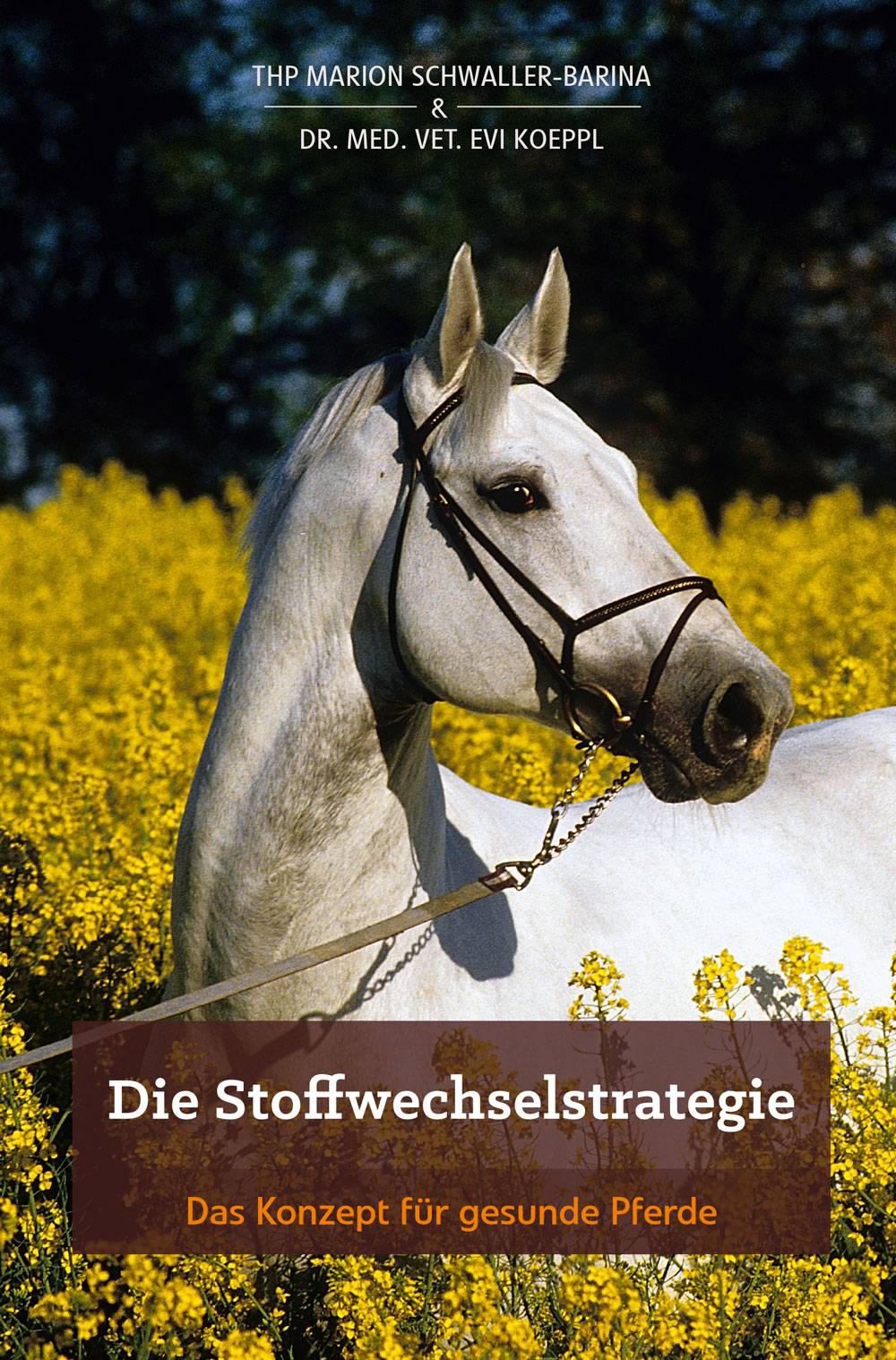 Die Stoffwechselstrategie Das Konzept für gesunde Pferde