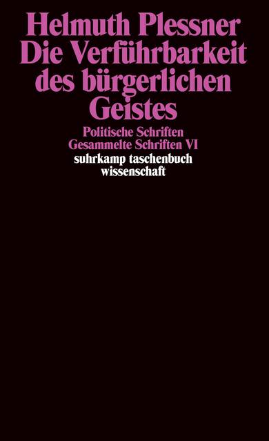 Die Verführbarkeit des bürgerlichen Geistes Politische Schriften
