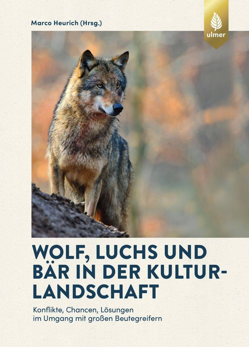 Wolf, Luchs und Bär in der Kulturlandschaft Konflikte, Chancen, Lösungen im Umgang mit großen Beutegreifern