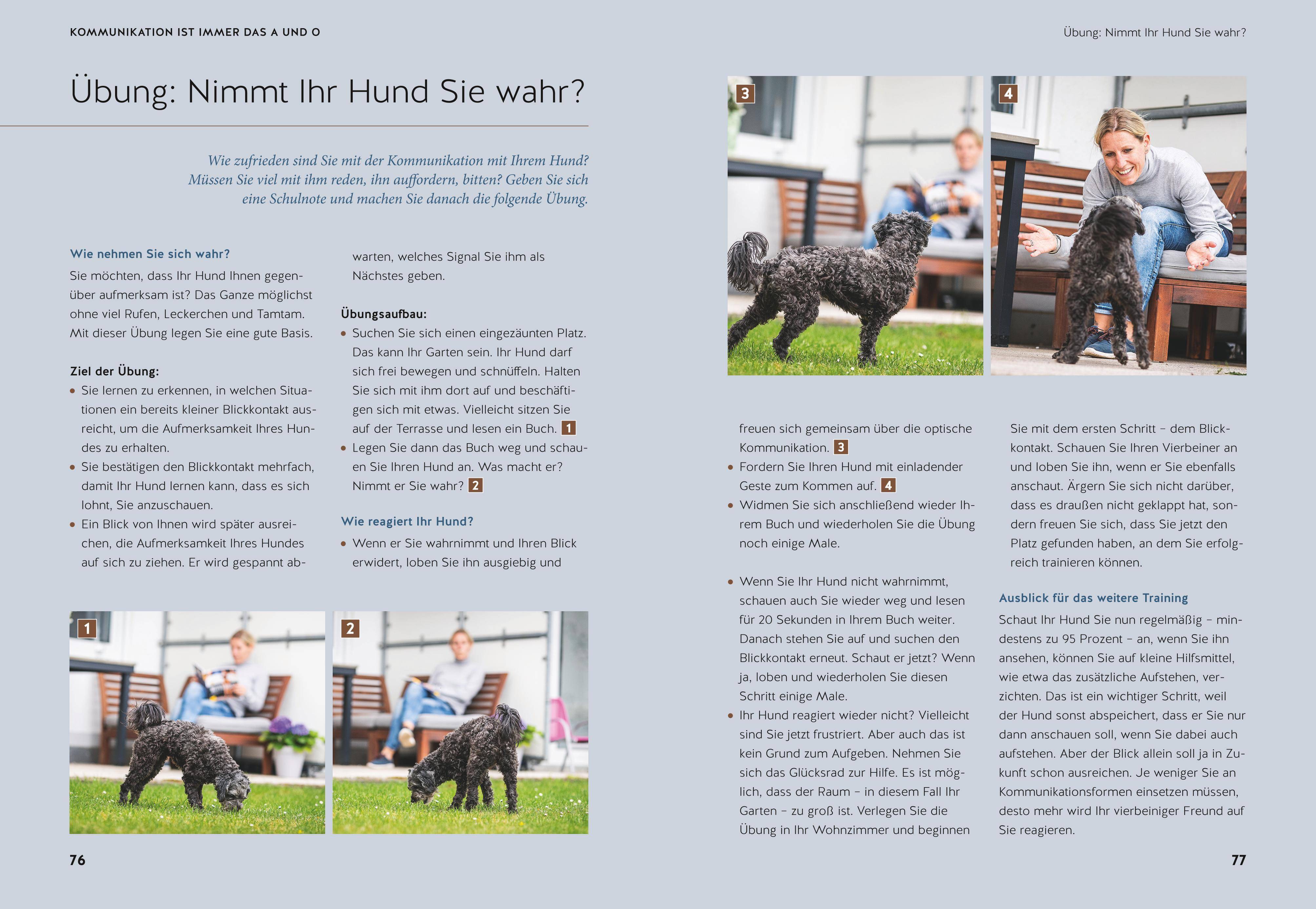 Life-Dog-Balance So sind die Bedürfnisse von Mensch und Hund täglich im Gleichgewicht