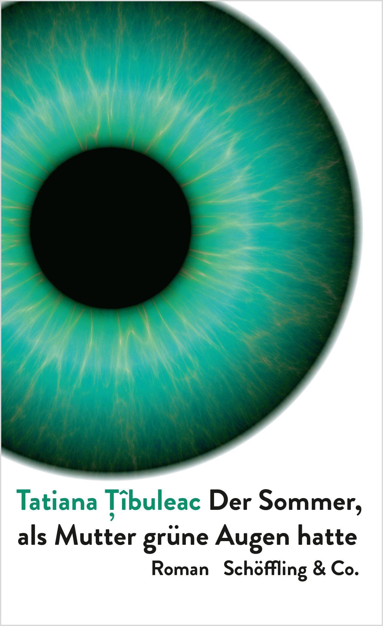 Der Sommer, als Mutter grüne Augen hatte Roman