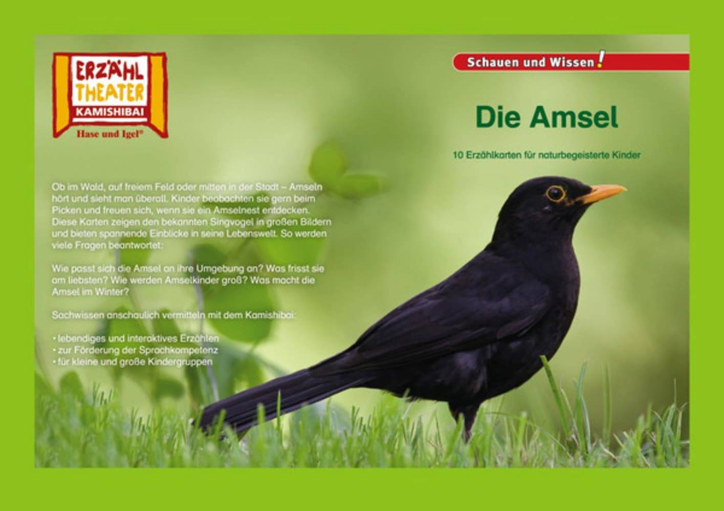 Kamishibai: Die Amsel 10 Fotobildkarten für das Erzähltheater