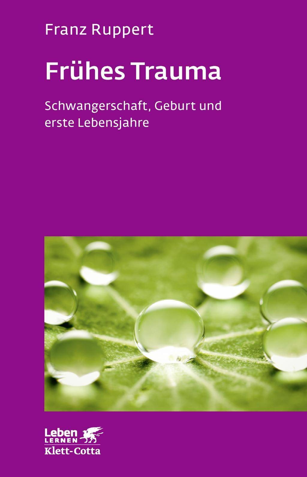 Frühes Trauma Schwangerschaft, Geburt und erste Lebensjahre
