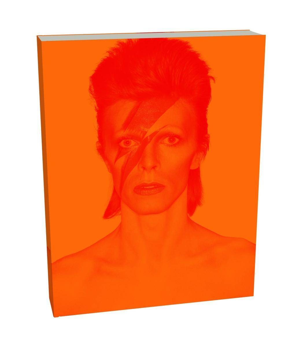 David Bowie Is (Deluxe edition)