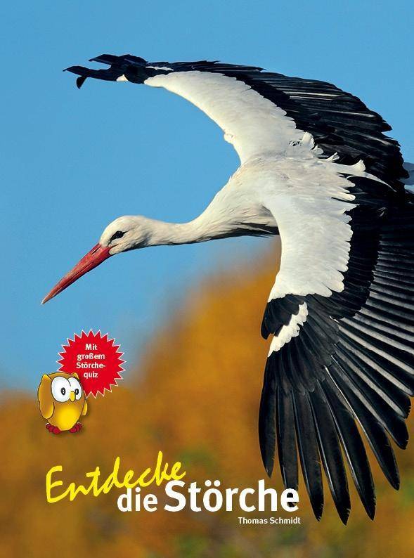 Entdecke die Störche Entdecke - Die Reihe mit der Eule 23, Kindersachbuchreihe
