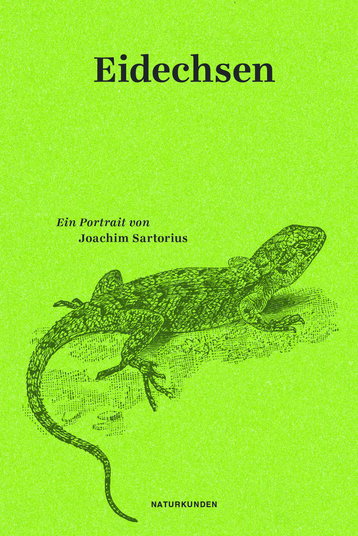 Eidechsen Ein Portrait