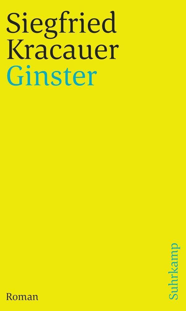 Ginster Roman