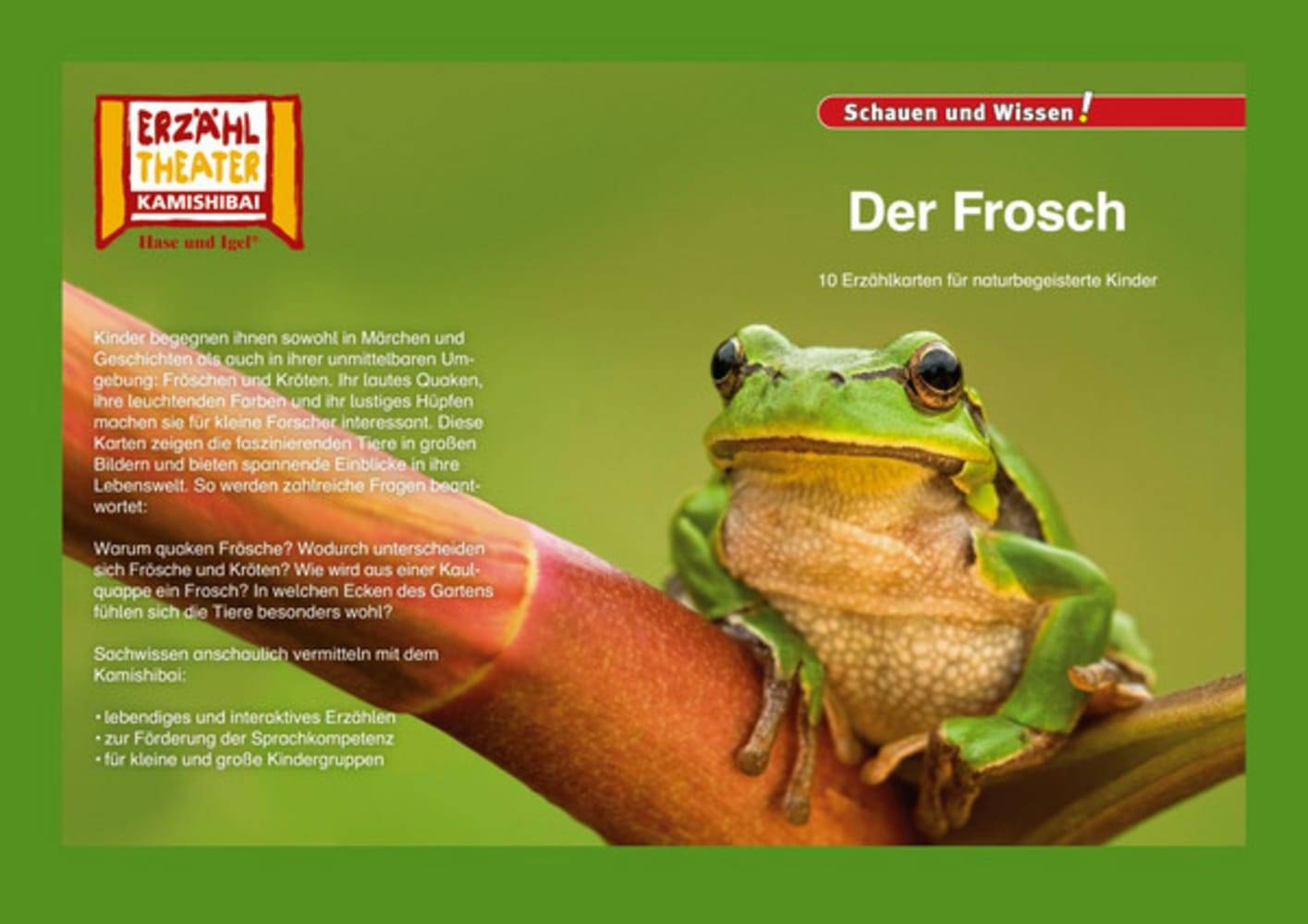 Kamishibai: Der Frosch 10 Fotobildkarten für das Erzähltheater