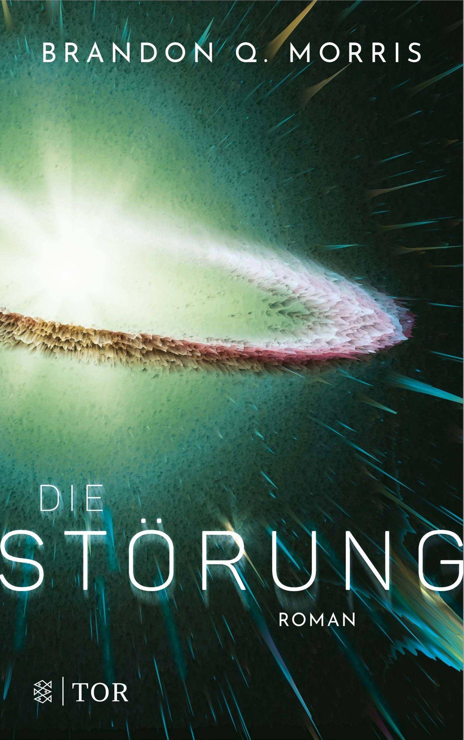 Die Störung Roman