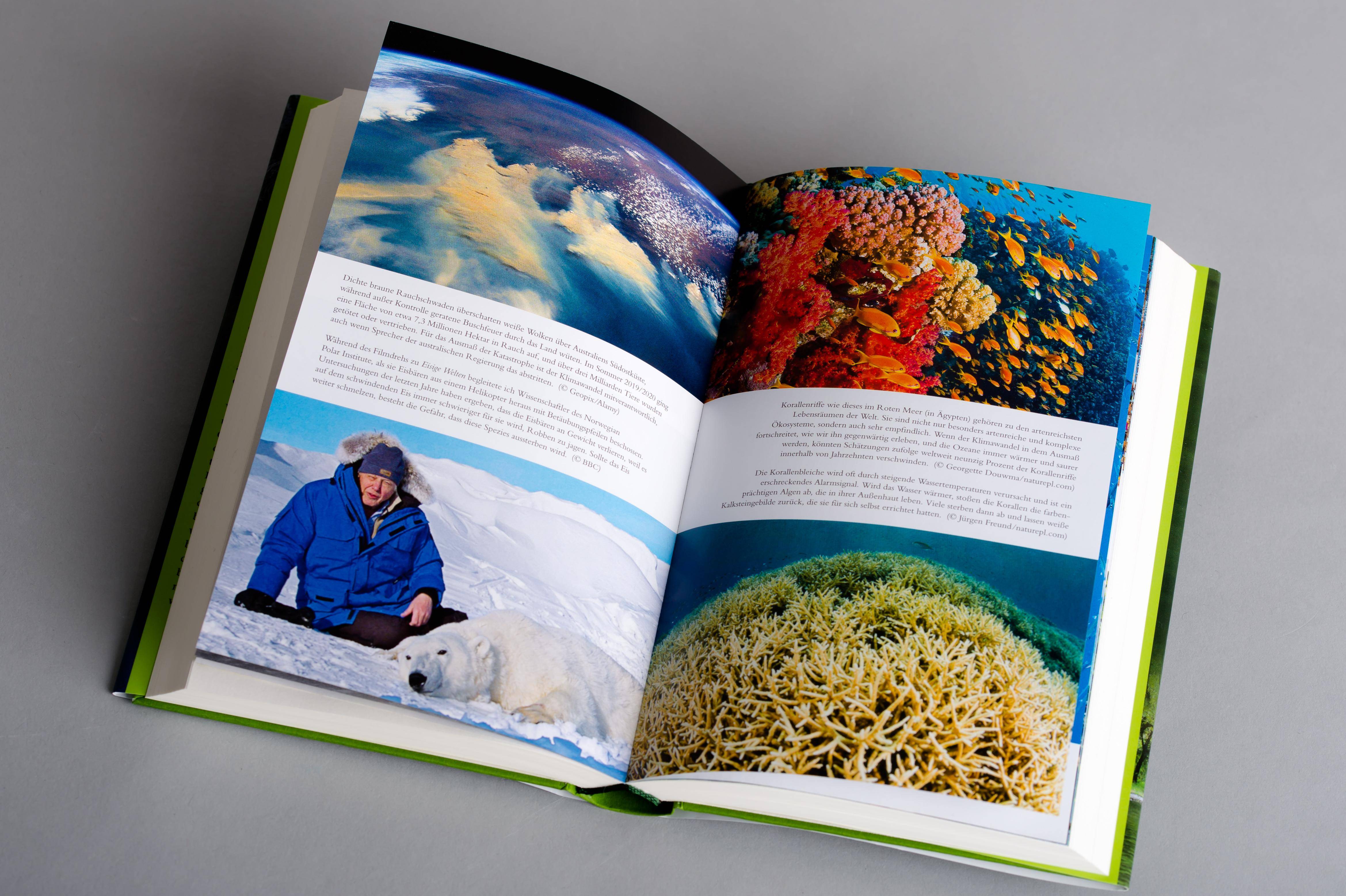 Ein Leben auf unserem Planeten Die Zukunftsvision des berühmtesten Naturfilmers der Welt