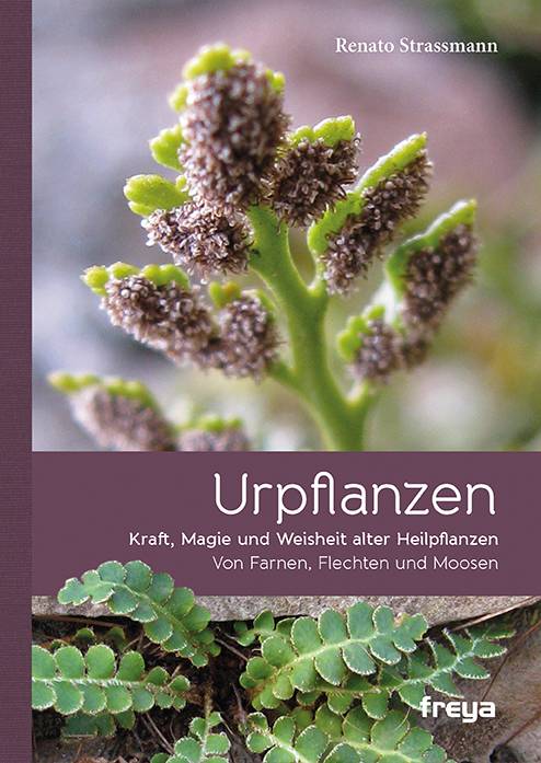 Urpflanzen Kraft, Magie und Weisheit alter Heilpflanzen. Von Farnen, Flechten und Moosen