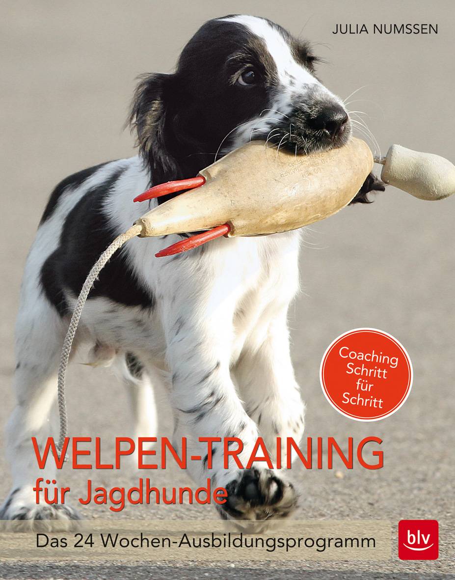 Welpen-Training für Jagdhunde Das 24-Wochen Ausbildungsprogramm. Coaching Schritt für Schritt
