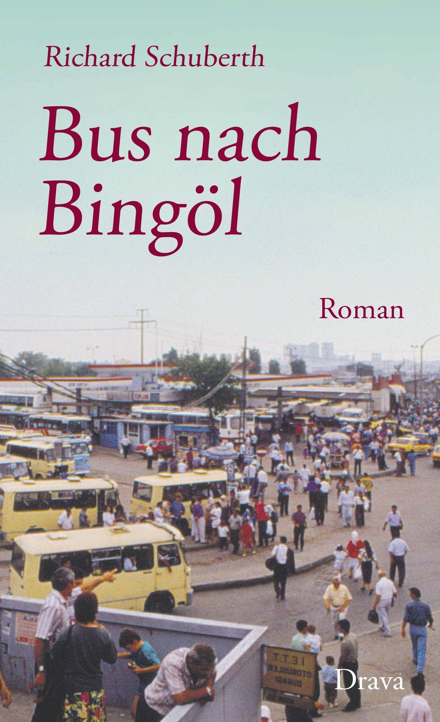 Bus nach Bingöl Roman