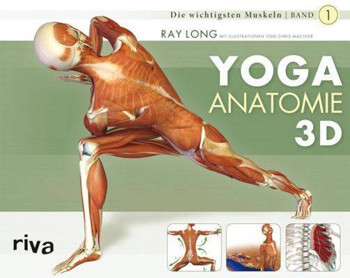 Yoga-Anatomie 3D Band 1: Die wichtigsten Muskeln
