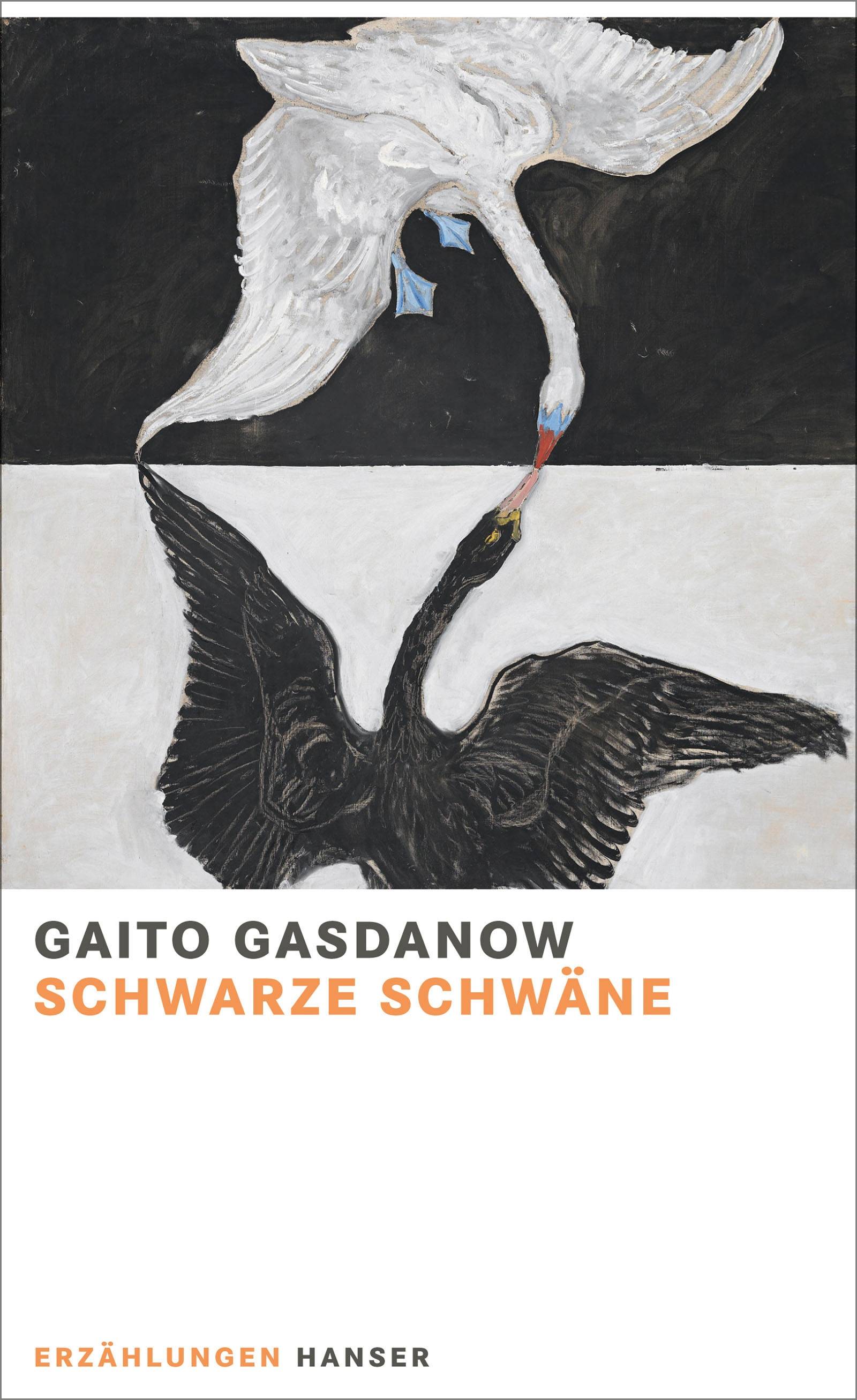 Schwarze Schwäne Erzählungen