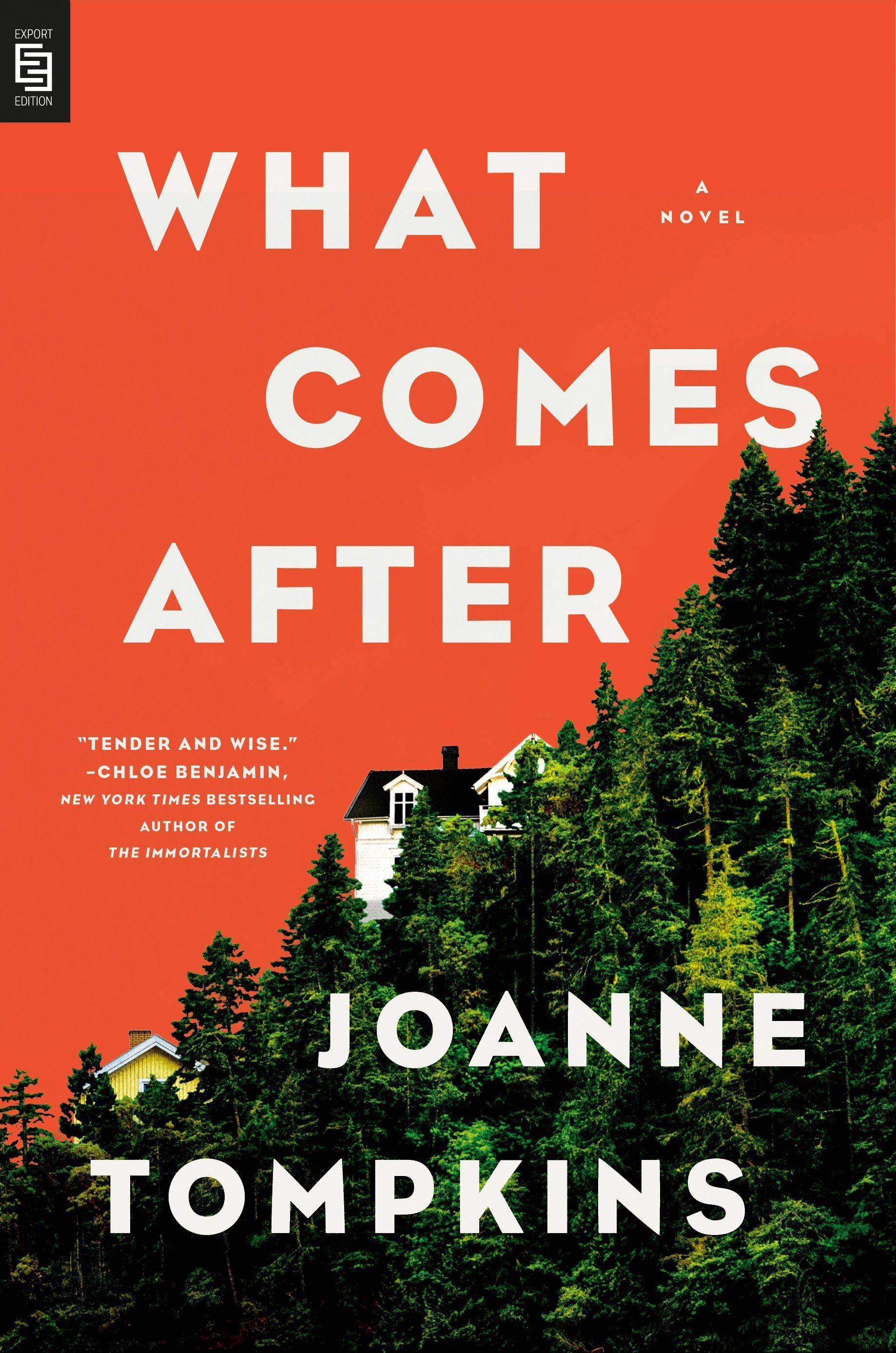 What Comes After A Novel