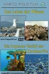 Das Leben der Möwen/tropische Vielfalt der Korallenriffe
