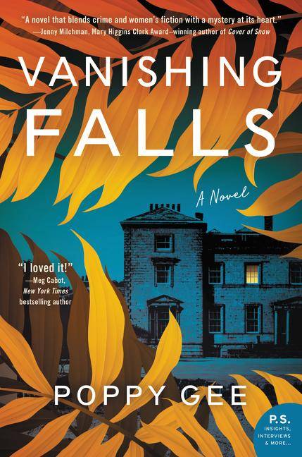Vanishing Falls A Novel