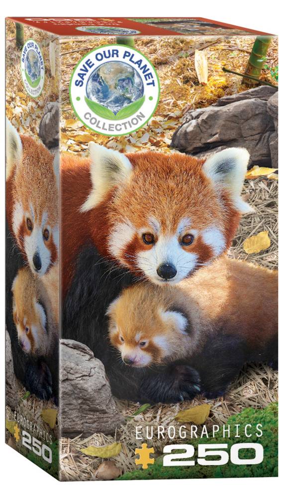 Rote Pandas (Puzzle) Anzahl Teile: 250, Eurographics-Puzzle