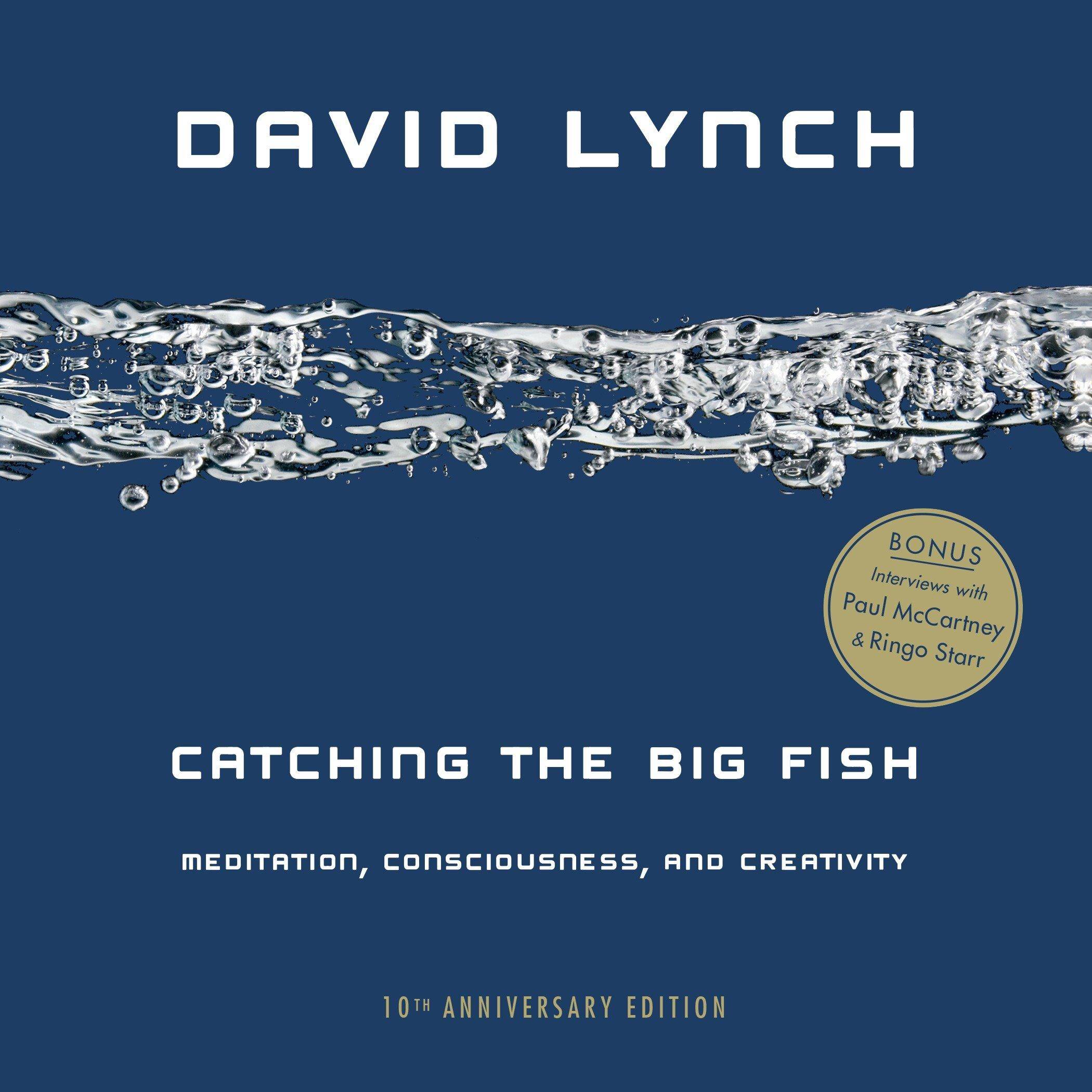 Catching the Big Fish Meditation, Consciousness, Creativity