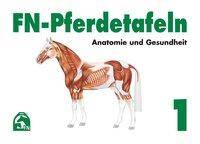 Anatomie und Gesundheit Hrsg.: Deutsche Reiterliche Vereinigung