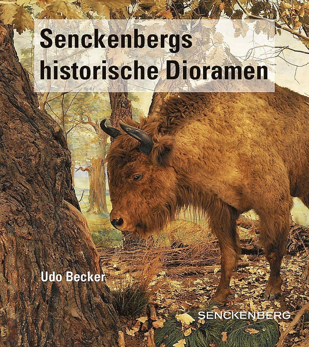 Senckenbergs historische Dioramen Senckenberg-Buch 85