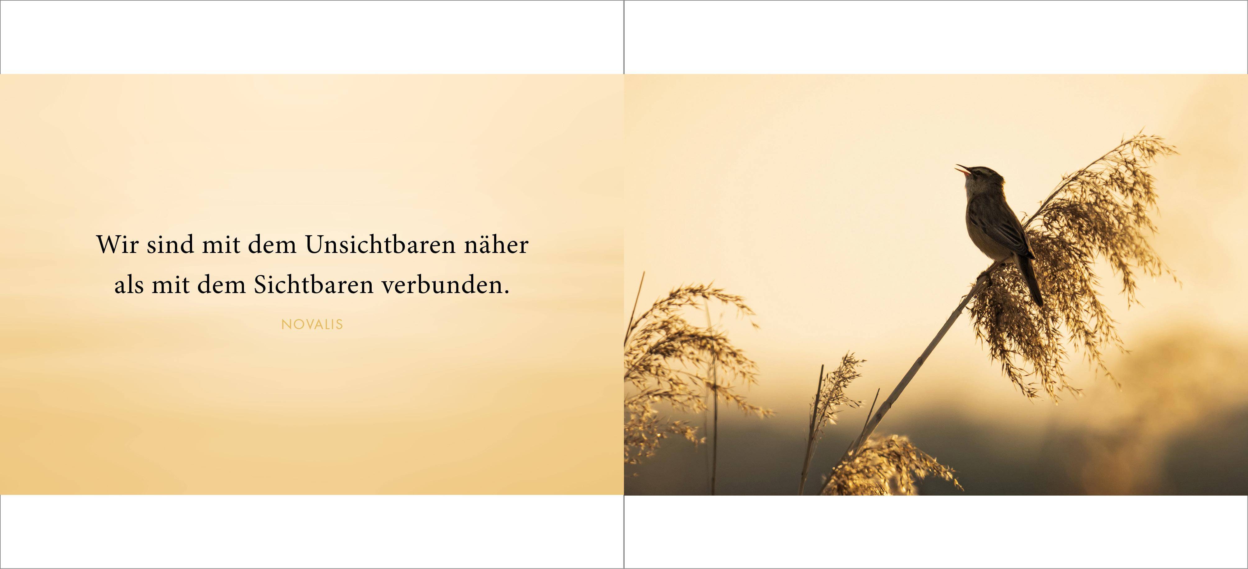 Die Liebe bleibt Trost in Zeiten der Trauer