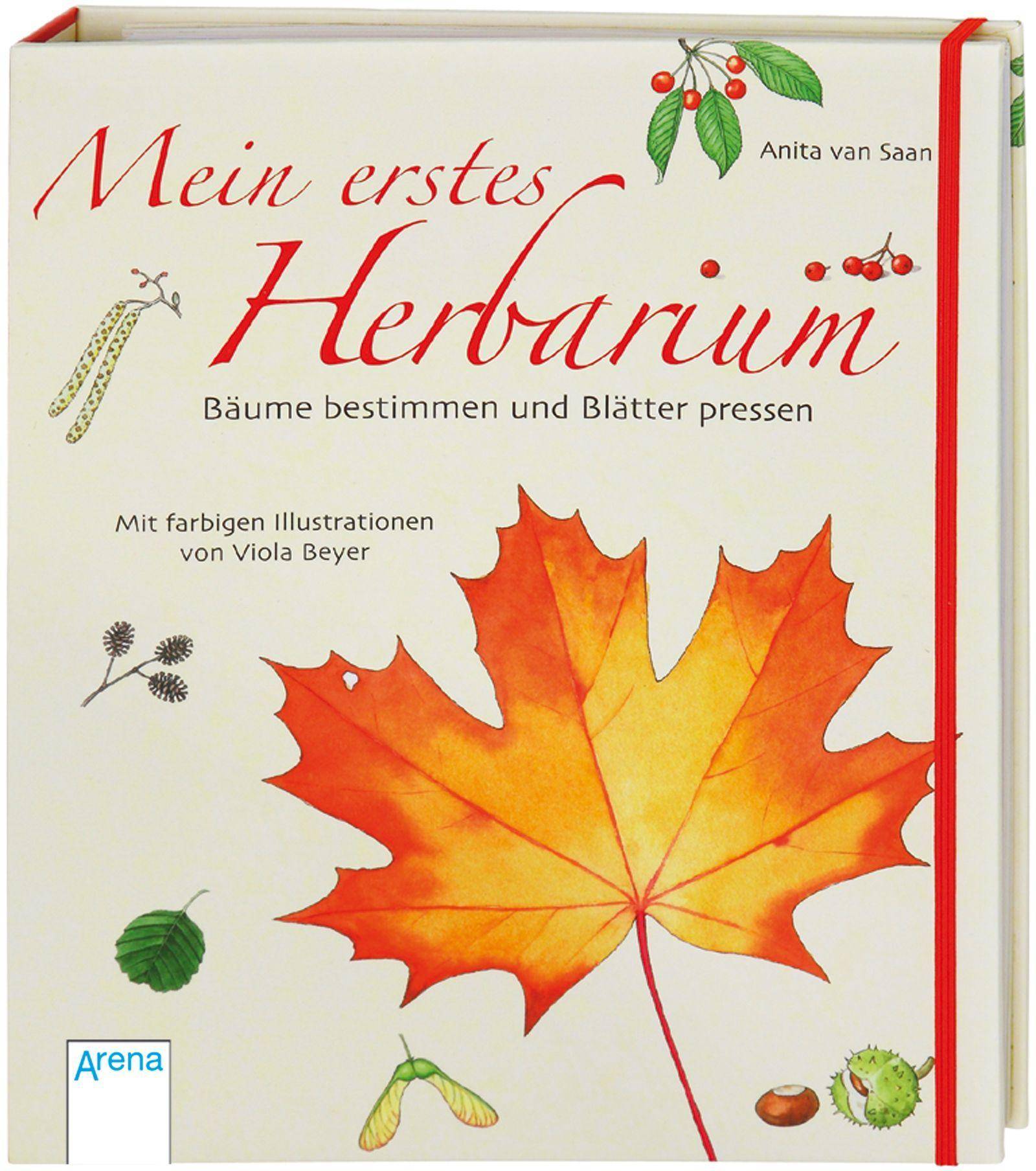 Mein erstes Herbarium, Bäume bestimmen und Blätter pressen Bäume bestimmen und Blätter pressen