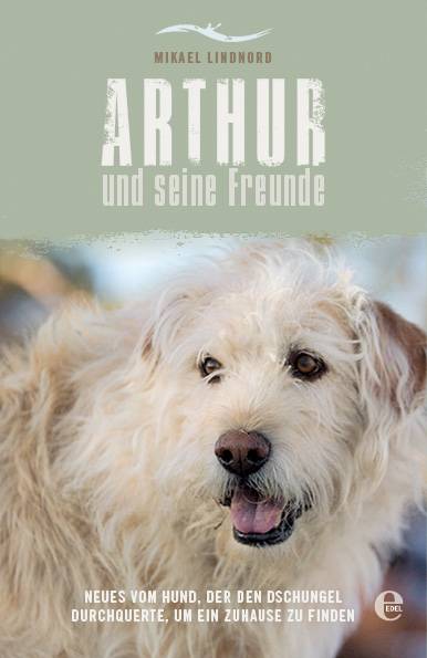 Arthur und seine Freunde Neues vom Hund, der den Dschungel durchquerte, um ein Zuhause zu finden