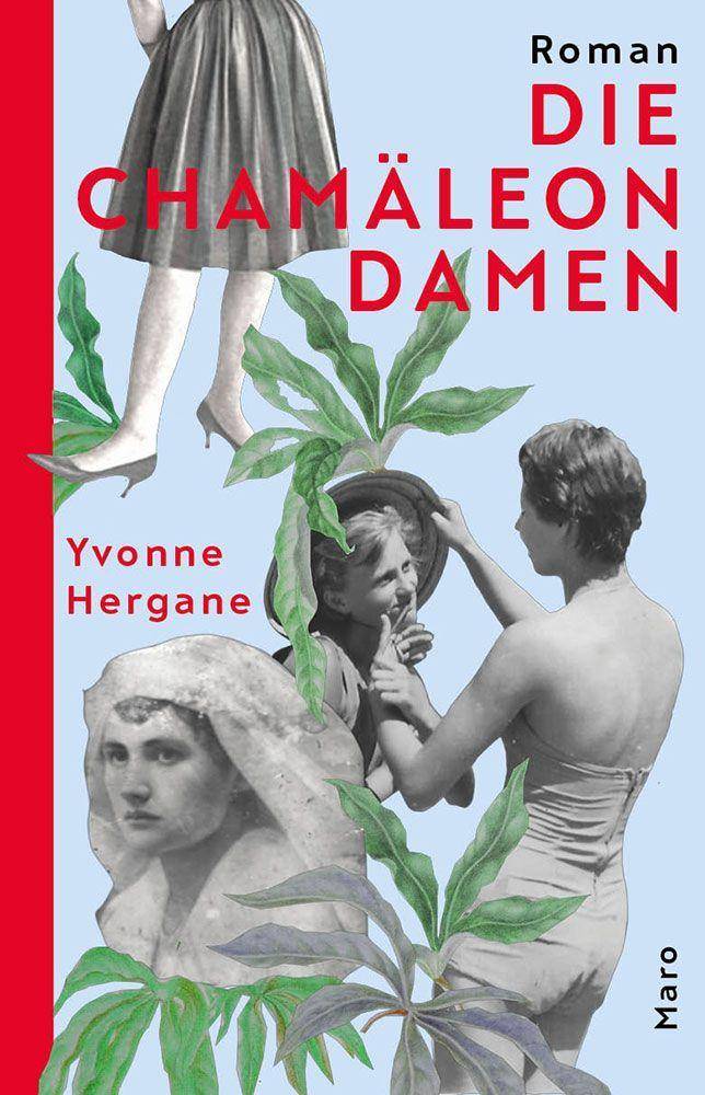 Die Chamäleondamen Roman