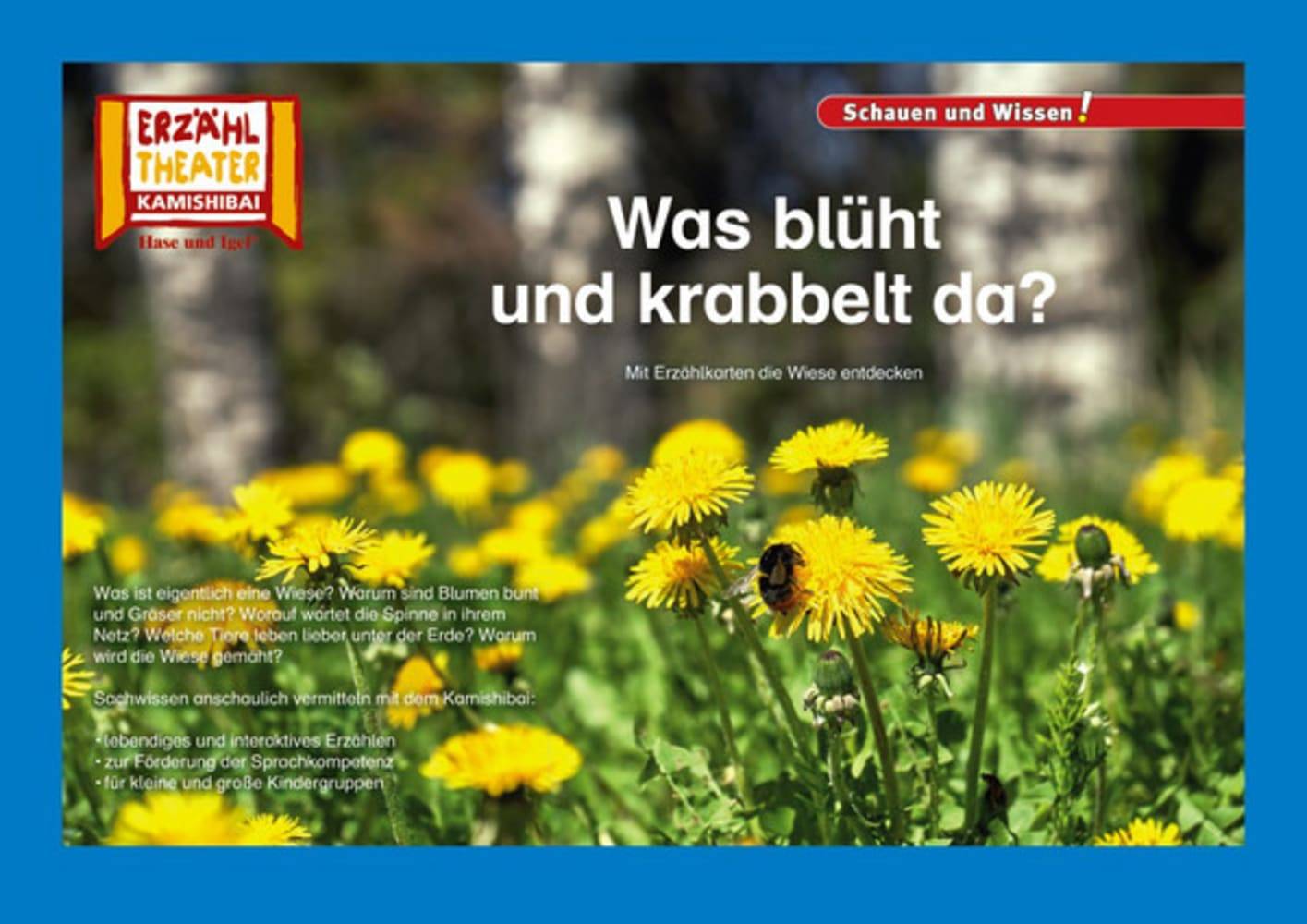 Kamishibai: Was blüht und krabbelt da? Mit Erzählkarten die Wiese entdecken, inkl. Textvorlage