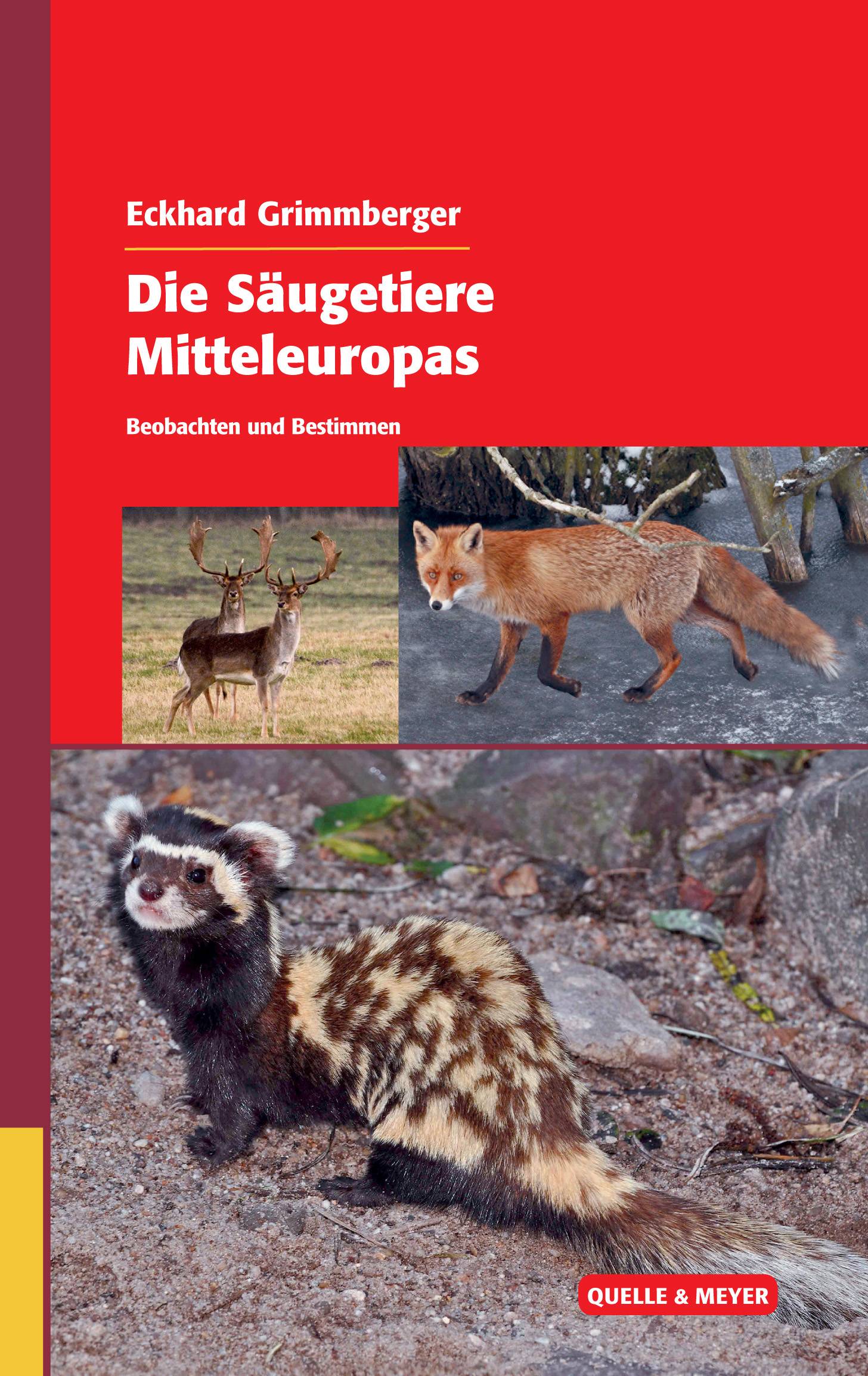 Die Säugetiere Mitteleuropas Beobachten und Bestimmen