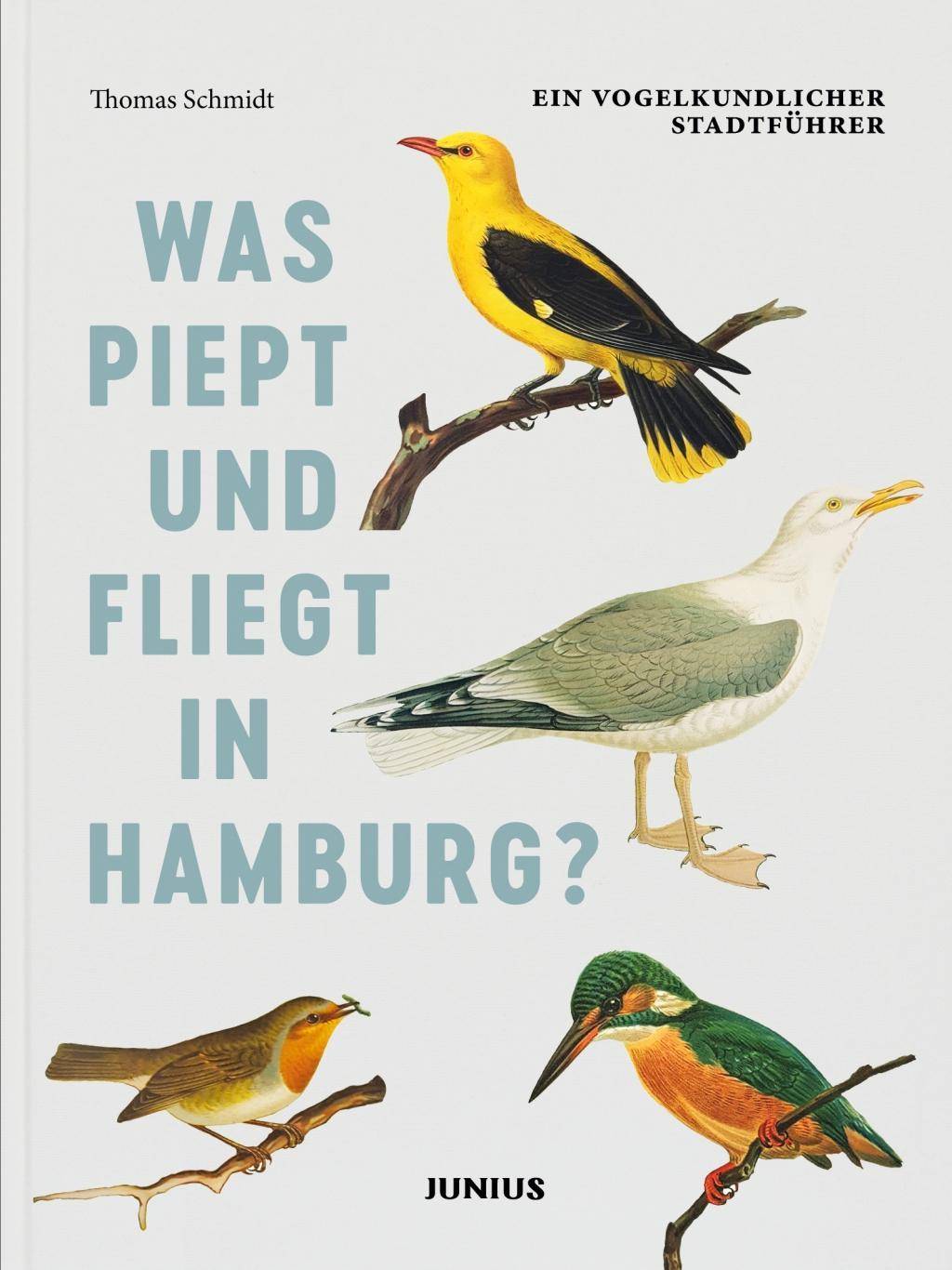 Was piept und fliegt in Hamburg? Ein vogelkundlicher Stadtführer